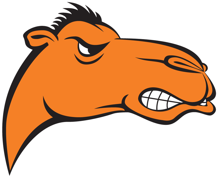 Campbell Fighting Camels 2005-2007 Alternate Logo iron on transfers for clothing